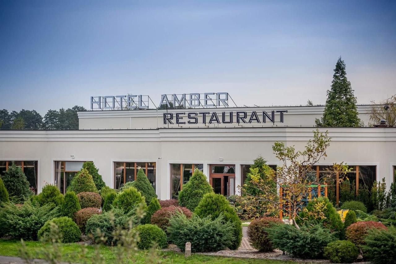 The Amber Business & Spa Hotel Олєшніца Екстер'єр фото