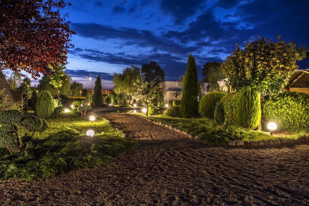The Amber Business & Spa Hotel Олєшніца Екстер'єр фото